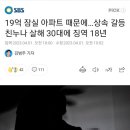 19억 잠실 아파트 때문에…상속 갈등 친누나 살해 30대에 징역 18년 이미지