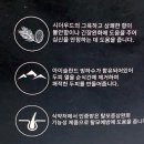 [다니에르 리뷰] 집중력샴푸 닥터라파 알 CEO탈모 샴푸 빙하수샴푸 두피샴푸 리얼리뷰