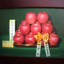 덕산면018 이미지