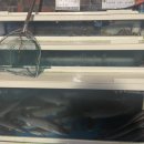 산호옥횟집 이미지