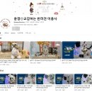 해피오브트리밍 | 양주애견미용 덕계동의 비숑미용전문 해피오브트리밍에 말티푸 방문기