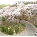 아카데미호텔 이미지