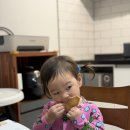 프레젠트포항펜션-B | 포항키즈펜션 개별수영장,놀이방이 있는 아기별키즈풀빌라