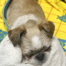 부산종합동물병원 이미지