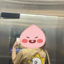 기장 롯데아울렛 말본골프웨어 사이즈 추천! 티셔츠 득템