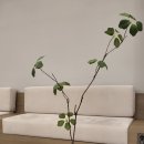 성모마음정신건강의학과의원 이미지