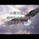 如鹰展翅上腾 Soar on Wings Like an Eagle 이미지