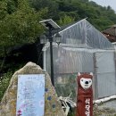 석달열흘가리 이미지