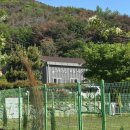 파트라슈반려견학교 이미지