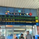 [고성/속초] 강원도 2박 3일 여행_1일차(속초중앙시장/회센터 아라횟집/오션투유리조트/고성바다)