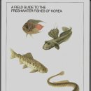 고기도감 이미지