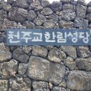 한림성
