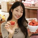 설향