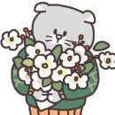 슈베르트음악학원 이미지