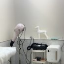 여울그루밍