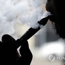 성인전자 이미지