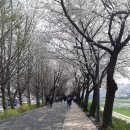 승일공인중개사사무소 이미지