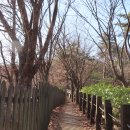 우장산둘레길 이미지