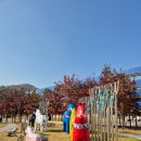 더 원 행정사 사무소 이미지