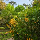 나들이공원 배드민턴장 이미지