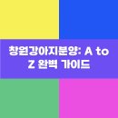 증평가정견훈련소 | 창원강아지분양: A to Z 완벽 가이드
