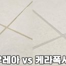 자양1동주민센터 이미지