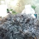 카라미용실 이미지