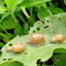 가족소풍 이미지