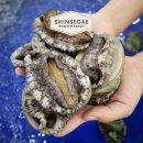 완도8호 이미지