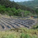 적상면010 이미지