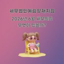 대한세무법인양재지점