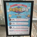 [울릉도] 다사다난 울릉도 여행기🚢🦑 _마무리 :: 썬플라워크루즈 선상포차 /지구놀이터 패키지 상세 후기...