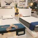 에이트바인 이미지