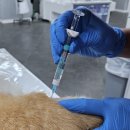 (주)유한메디칼 이미지