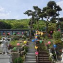 법왕사 - 1342 | 법왕사