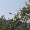 십리벚꽃길 이미지