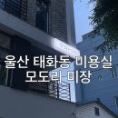 모도리미장