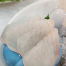 온누리네횟집 | 안면도 횟집 백사장항 온누리회타운 | 스끼다시 잘나오는 맛집