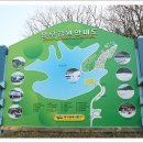 손바닥공원 족구장 Daum카페
