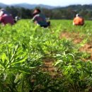 논밭상점 이미지