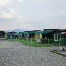 애견동반 멍멍아노올자 이미지