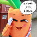 화성중앙교회 이미지