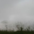 경춘목장 이미지