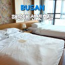 오션패밀리호텔 | 해운대 숙소 추천｜바다 도보 1분, 오션뷰 ‘선셋호텔’ 패밀리룸 후기