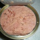 환상참치 이미지