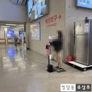 코스트코 홀세일 | [하남 코스트코 홀세일] 푸드코트의 3,500원짜리 가성비 떡볶이