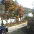 매수농장 이미지