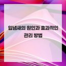 예술치과의원 이미지