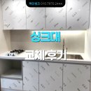 광진 pet 이미지