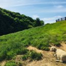 하늬목장 이미지